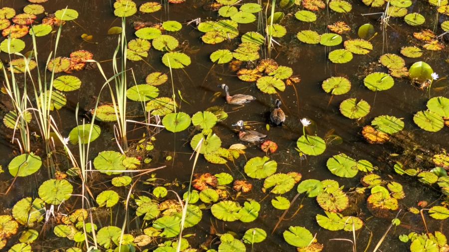  Bedroom Property for Sale in Plettenberg Bay Rural Western Cape